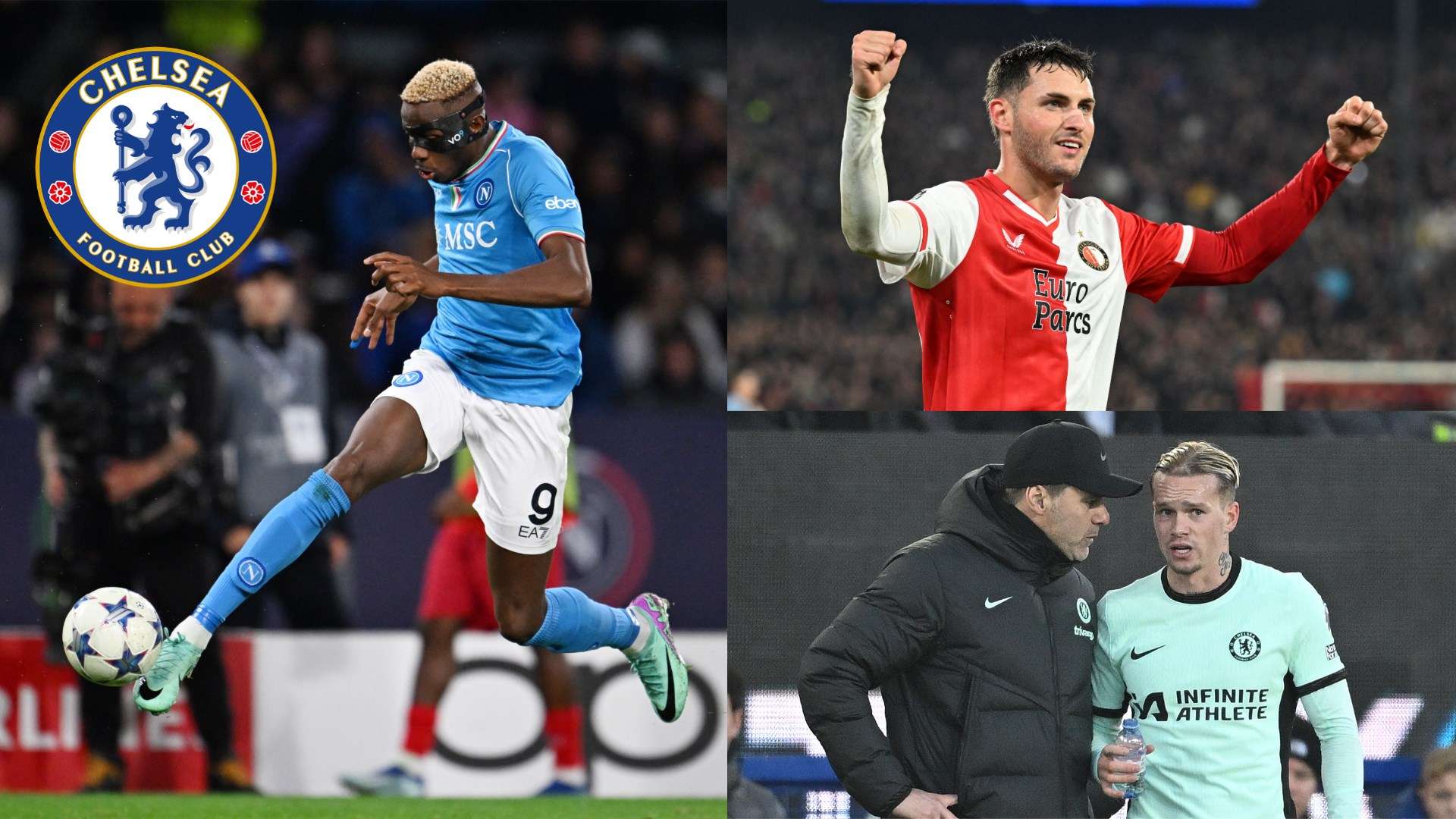 他不仅能够 他不仅能够